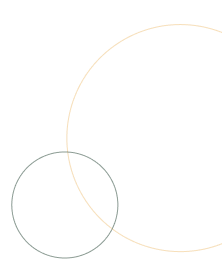 Circle Outlines Image