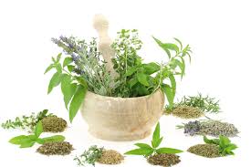 Herbal Medicine